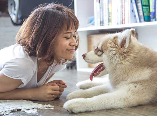 What to Consider When Choosing a Doggie Day Care