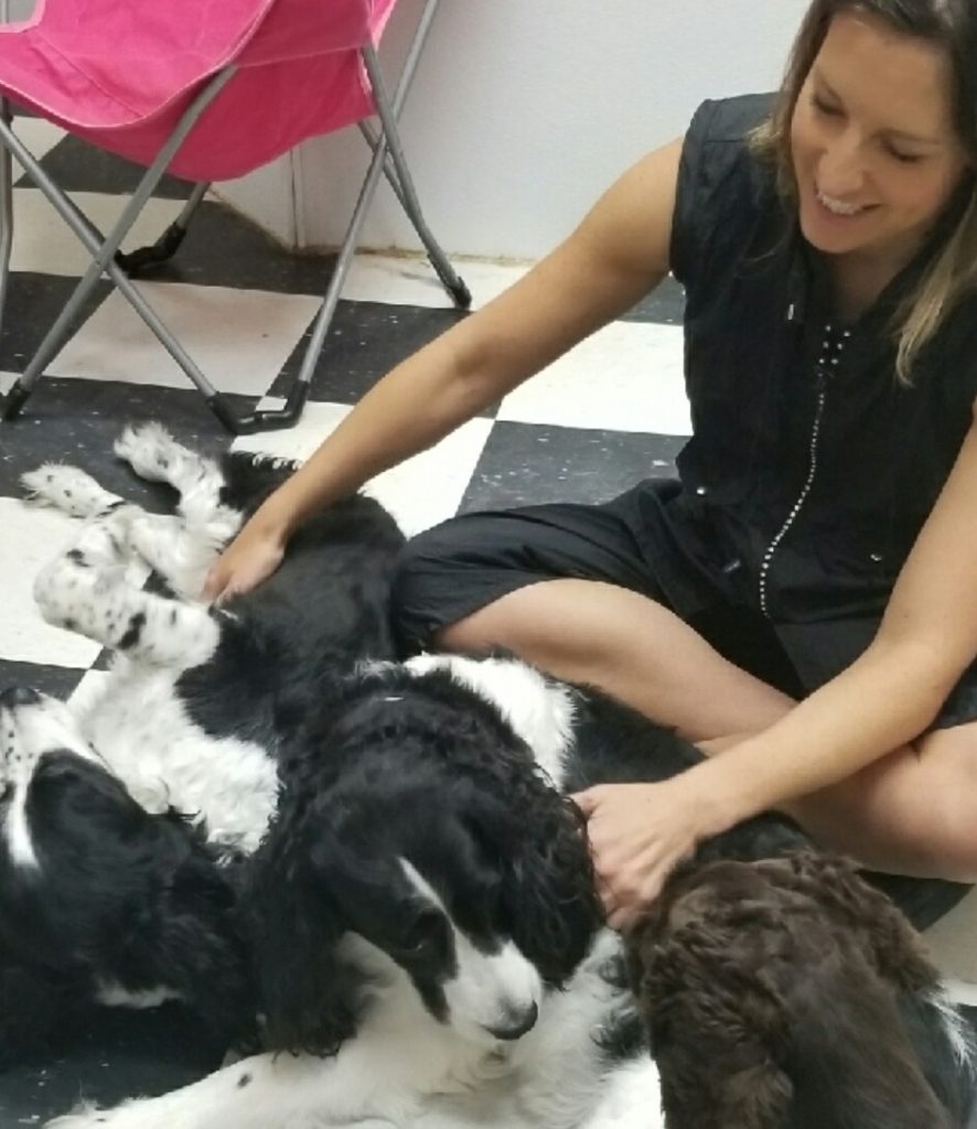 Pawsh Dog House Daycare