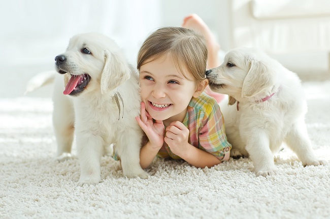 Will Your Doggie Love Daycare?