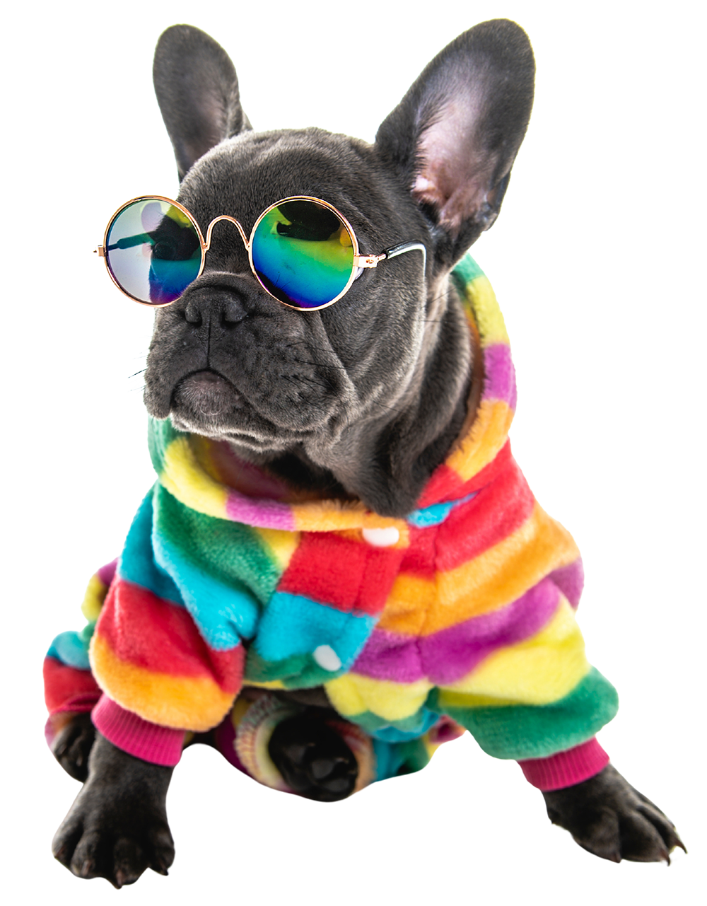 Happy Paws Advantage